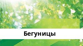Банкоматы Сбербанка в городe БЕГУНИЦЫ — часы работы и адреса терминалов на карте
