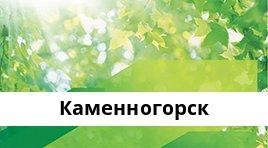 Банкоматы Сбербанка в городe Каменногорск — часы работы и адреса терминалов на карте