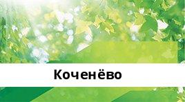 Банкоматы Сбербанка в городe Коченево — часы работы и адреса терминалов на карте