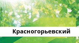 Банкоматы Сбербанка в городe Красногорьевский — часы работы и адреса терминалов на карте