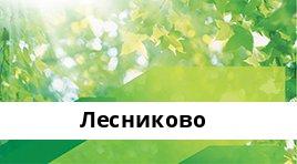 Банкоматы Сбербанка в городe ЛЕСНИКОВО — часы работы и адреса терминалов на карте