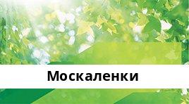 Банкоматы Сбербанка в городe Москаленки — часы работы и адреса терминалов на карте