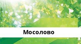 Банкоматы Сбербанка в городe МОСОЛОВО — часы работы и адреса терминалов на карте