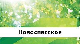 Банкоматы Сбербанка в городe Новоспасское — часы работы и адреса терминалов на карте