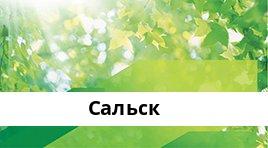 Банкоматы Сбербанка в городe Сальск — часы работы и адреса терминалов на карте
