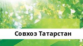 Сбербанк Опер.касса №8610/0176, Совхоз Татарстан