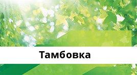 Сбербанк ППКМБ №8636/20799, Тамбовка