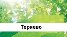 Сбербанк Опер.касса №9040/00301, Теряево