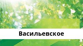 Банкоматы Сбербанка в городe Васильевское — часы работы и адреса терминалов на карте