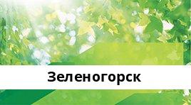 Банкоматы Сбербанка в городe Зеленогорск — часы работы и адреса терминалов на карте